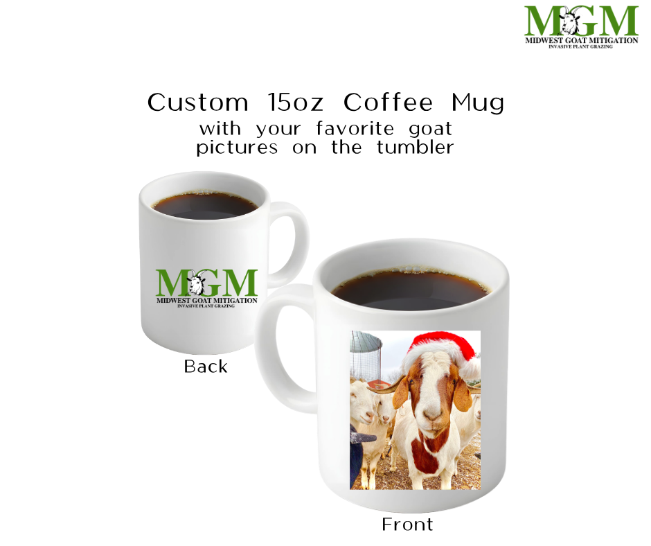 MGM Cups