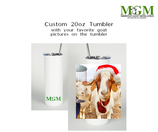 MGM Cups