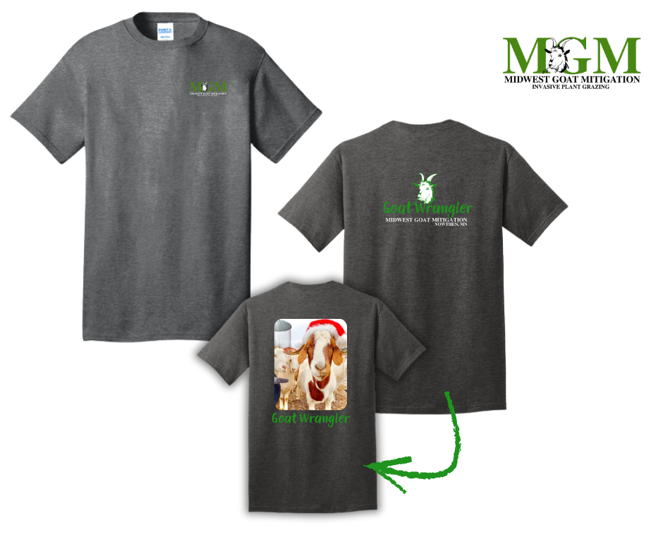 MGM T-Shirt